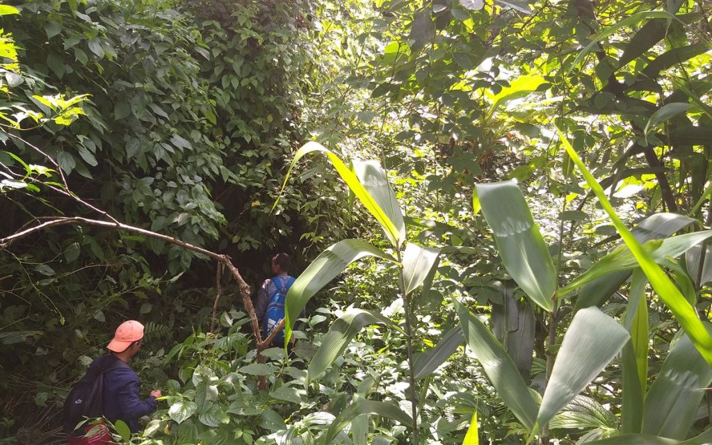 Field team conducting a site assessment for the ACREWAS drinking water project in Tsirang